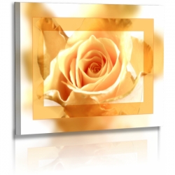 Naturbilder - Blumenfotos - Blume - Rose - Bilder - Gelbe - Blumen