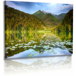 Naturbilder - Landschaft - Bild - Berge - See - Wald - Bäume - Seerosen