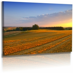 Naturbilder - Landschaft - Feld - Bild - Sonnenuntergang - Wiese