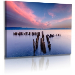 Naturbilder - Landschaft - Pfhle - Bodensee - Buhnen -...