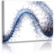 Naturbilder - Blumenfotos - Bilder - Kaktus - Exotische Blume - Weiss - Blau
