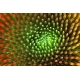 Naturbilder - Blumenfotos - Blume - Abstrakte Bilder - Frhlingsblumen