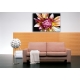 Naturbilder - Blumenfotos - Blume - Bild - Dahlie - Exotische Blumen