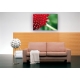 Naturbilder - Blumenfotos - Blume - Bild - Korbblter - Rot - Grn