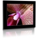 Naturbilder - Blumenfotos - Blume - Bild - Orchidee - Lila