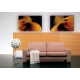 Naturbilder - Blumenfotos - Calla - Blume - Abstrakte Bilder - Orange