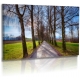 Naturbilder - Landschaft - Allee - Bild - Bäume - Weg
