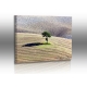 Naturbilder - Landschaft - Bild - Baum - Toskana - Le Crete