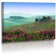 Naturbilder - Landschaft - Bild - Toskana - Italien - Frühling