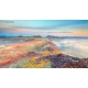Naturbilder - Landschaft - Island - Bild - Vulkane - Steine - Moos - Solfatare - Sonnenuntergang