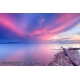 Naturbilder - Landschaft - Strandgut - Steine - Bodensee - Sonnenuntergang
