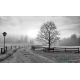 Naturbilder - Landschaft - Winterlandschaft - Schnee - Nebel
