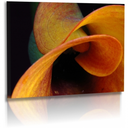 Naturbilder - Blumenfotos - Calla - Blume - Abstrakte Bilder - Orange