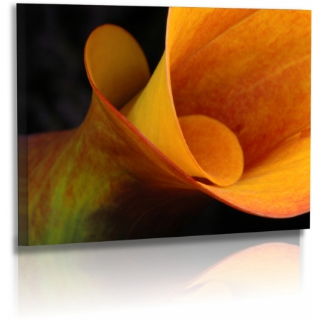 Naturbilder - Blumenfotos - Calla - Blume - Abstrakte Bilder - Orange