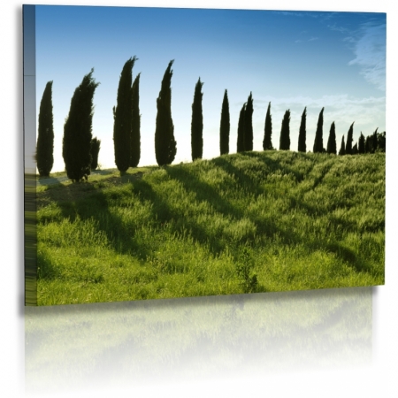 Naturbilder - Landschaft - Bild - Italien - Zypressenallee - Toskana