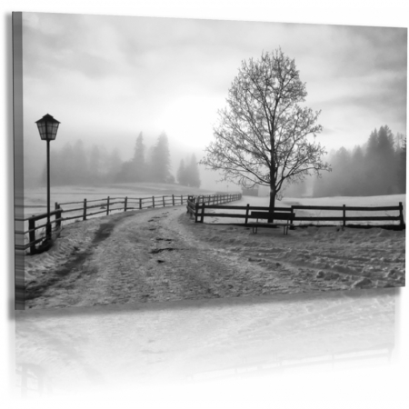 Naturbilder - Landschaft - Winterlandschaft - Schnee - Nebel
